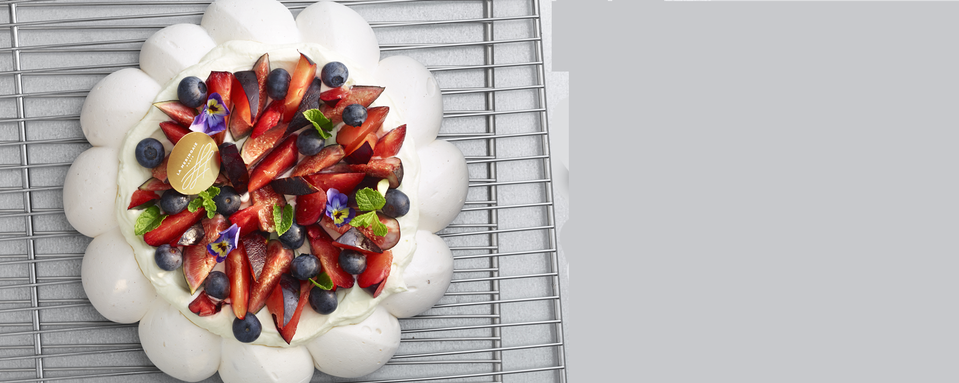 Pavlova Violette
